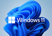 Windows平台通过WSL安装Linux(Debian)-Ddmit